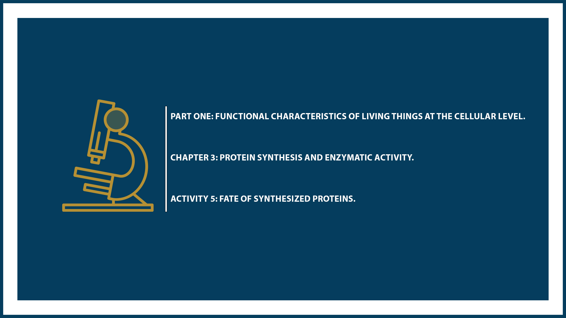 Chapter 3: Protein Synthesis - Activity 5: Fate of the synthesized protein